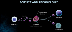 Science & Technology - Exosomes and how they allow communication between skin cells.